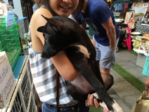 シャイなのか不安なのか、すぐ後ろを向いてしまいます