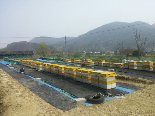 今年担当の養蜂農家さん（素晴らしい環境と熱心な農家さんですが、写真の通り大気汚染が深刻です）