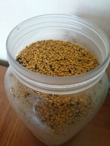 2.4キロの蜂蜜が入る容器一杯で五万ウォン(約4565円)、日本への持ち込みは植物検疫が必要です