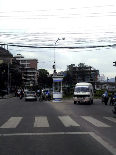 白さが際立ってよく目立ちますね。