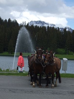 アローザの町はシーズンオフで静か。馬たちがお客さんを待っていました。