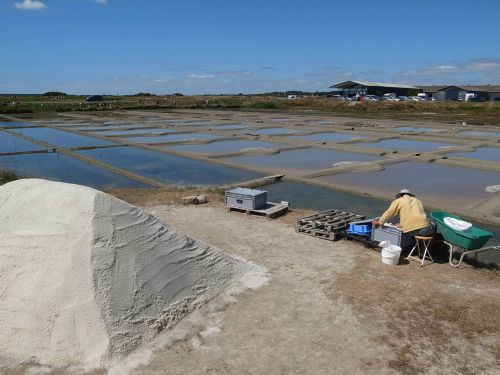 このような場所で塩は作られます
