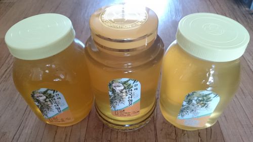 左からエゴノキ、テジョンのアカシア、全羅道のアカシア