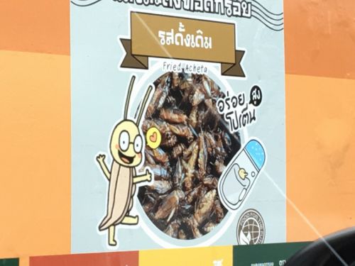 こちらはコオロギスナック