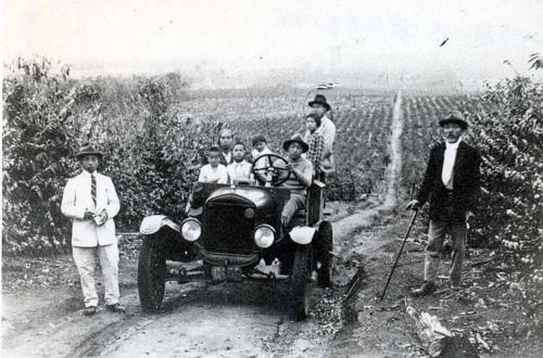 コーヒー園をバックに一家の記念写真（写真提供・ブラジル日本文化福祉協会）