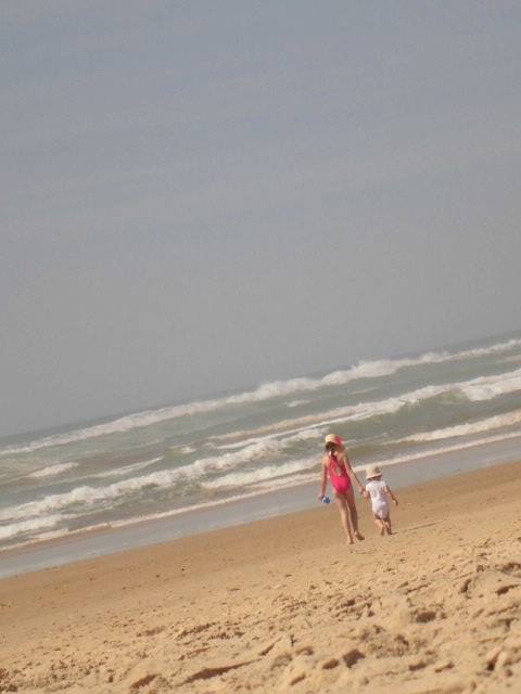 ビーチがみんなの涼をとる場所