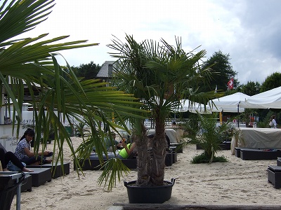 夏にはこのように人工ビーチで、海のリゾート気分も味わえます（笑）。