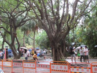 9月15日10時台の様子