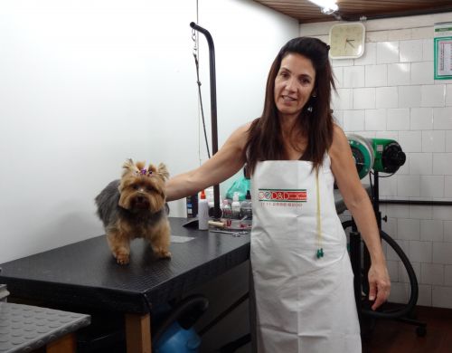 毎日最低5匹の犬の世話をするペット美容師の女性と客のマリアちゃん