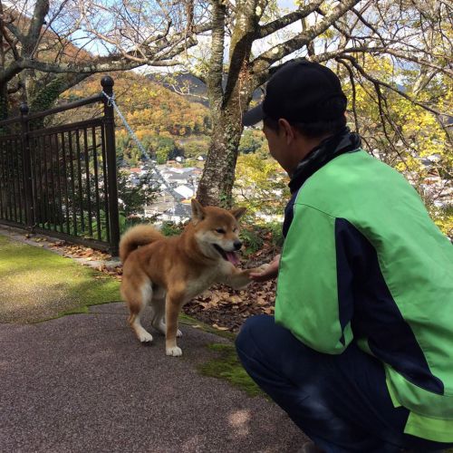 お手もばっちり