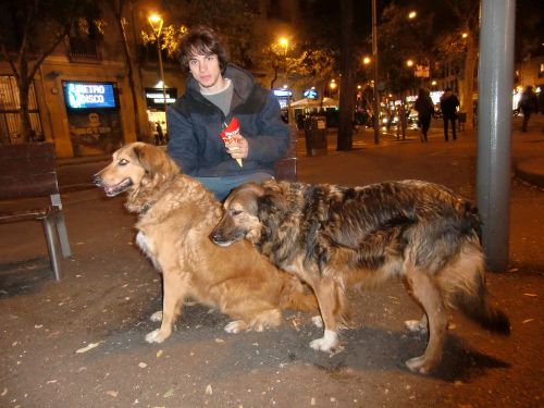 バルセロナ市内で出合った生き生きとした美しい犬たち