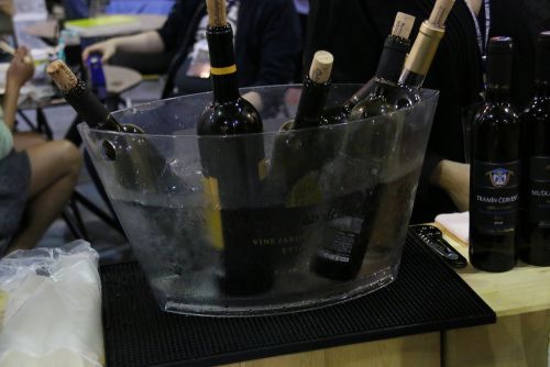 試飲用のワイン