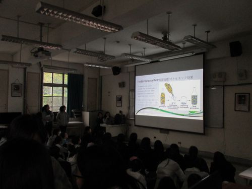 生物研究部の活動の様子