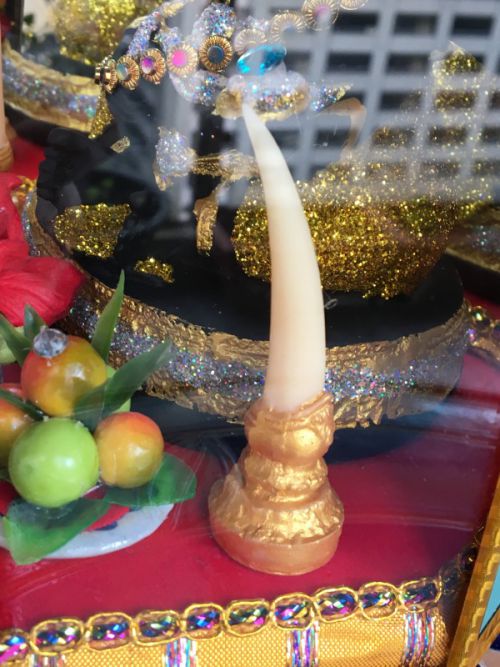 本来、牙の一本は折れているそうですが、ここでは2本とも健在です。あるいは2本とも折れているのかも？