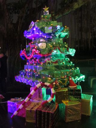 クリスマスツリーも