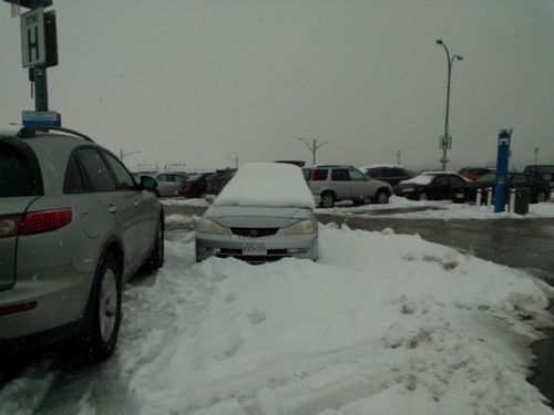 かなり溶けていたのですが