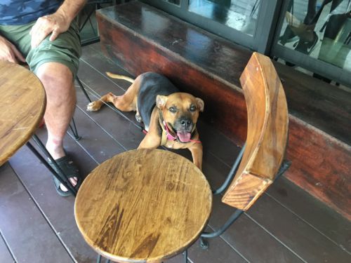 朝食のカフェもテラス席で一緒です