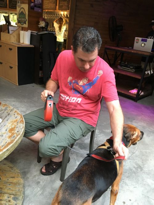 犬連れオーケー　他のわんこたちと仲良くしてね