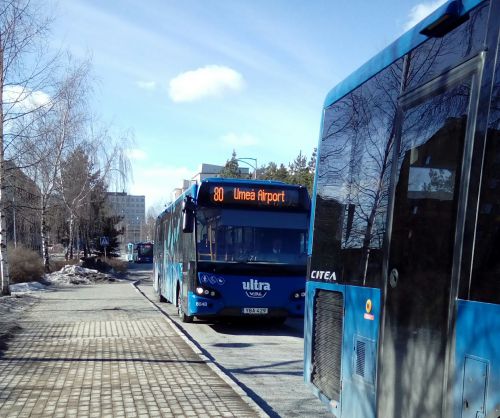 見かけも路線バス同様の空港バス、路線番号80 Umeå Airport と書かれています