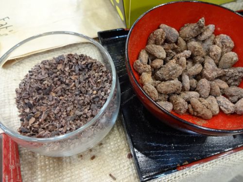 カカオの種子を焼いて砕いたもの（左）と種子に黒砂糖をコーティングしたもの