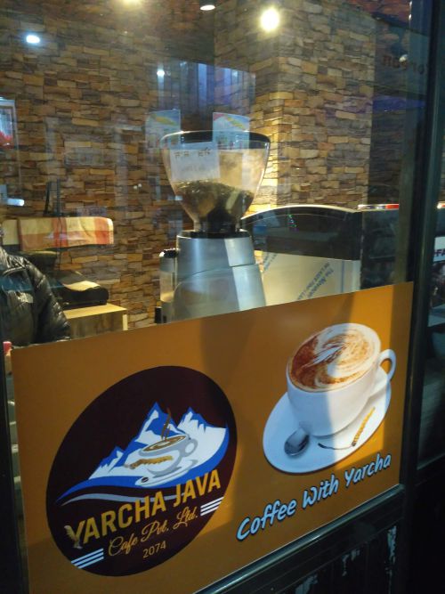 普通の新しいカフェ？と思いきや！