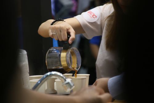 入れたてのコーヒーの試飲