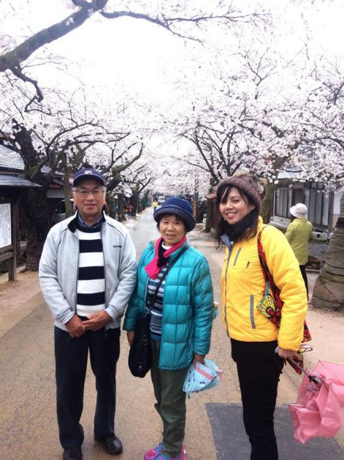 がいせん桜のお花見