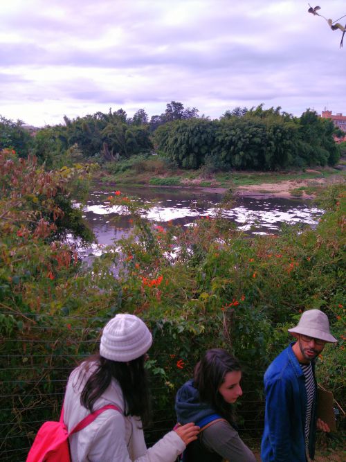 イトゥー市のヴァルヴィート公園の横を流れる川に浮かぶ汚染水の泡