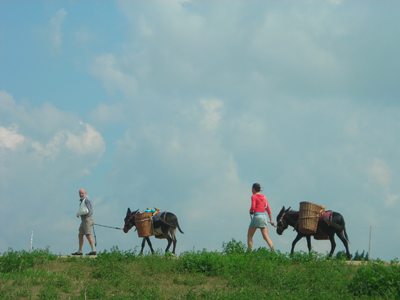 リピーターも多い、人気レクリエーションになりつつある。