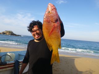 運が良ければとれたてのお魚をゲットできるかも