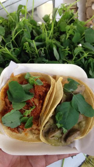 ぺろっと乗せて