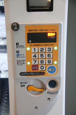 日本語の表記が