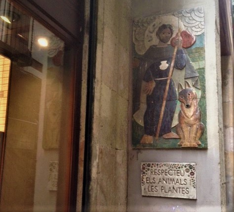 「動物や植物を大切に！」とアドバイスが書いてある