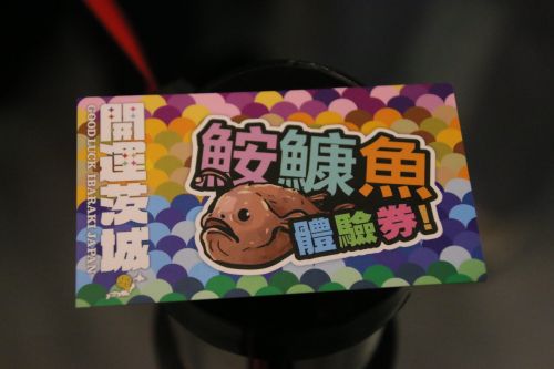 あんこうの体験券!