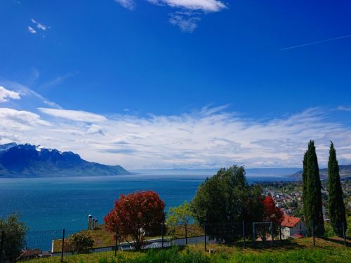 フランスと仏語圏スイスをまたぐレマン湖の青い湖水とその上に広がる青空