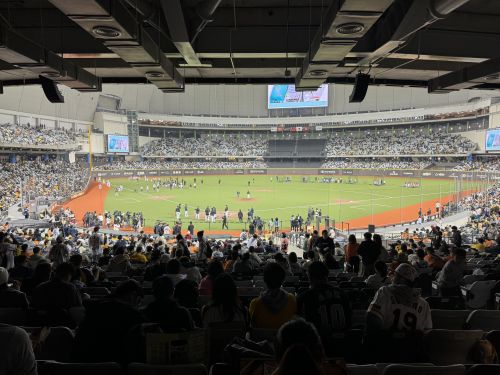 入場するとすぐに見られる光景