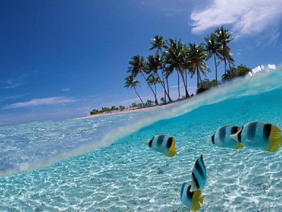 美しい海がウリのビーチリゾートが目白押し