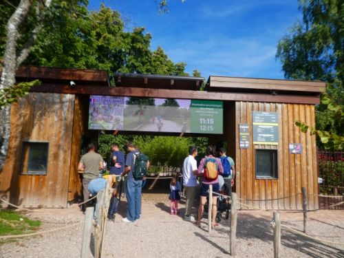 今からサルたちが暮らす森林公園へ出発！