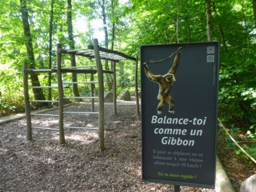 アスレチックコースがたくさん