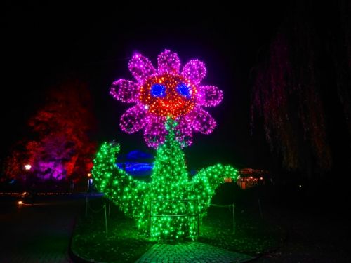 マイナウ島の入り口で、巨大な花がお出迎え