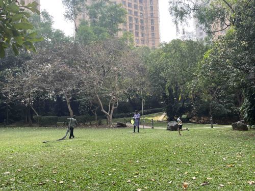 公園で遊ぶ子供。この日はたこ揚げをする日だったので、子供が凧揚げをしている姿を度々見かけました(日本で言う新年のような日でした)