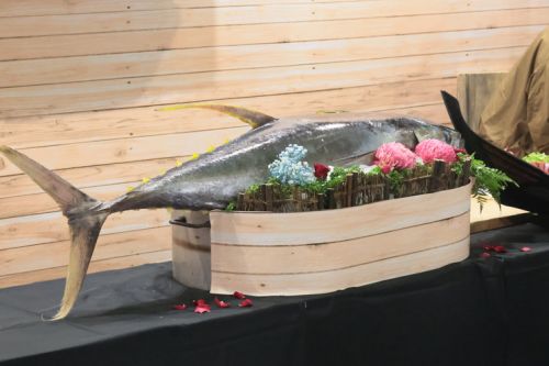 解体されたマグロ