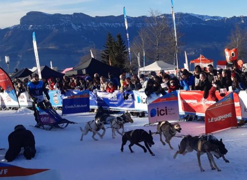 国際犬ぞりレース「La Grande Odyssee2025」