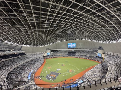 L 4ブロック内野席からの眺め